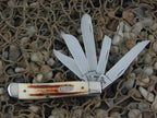 Case XX 1997 Red Stag Mini Trapper with TruSharp steel R5507 01625