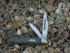 Case XX 1996 Smooth Grey Bone Peanut with TruSharp steel 6220