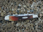 Case XX 1982 CCC Brown Jigged Bone Banana Trapper with TruSharp steel 6251
