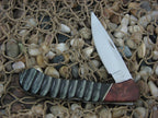 Buck Knives Custom Shop Impala Horn and Burl BuckLock with Stainless steel Model 5321BL B532IBL0