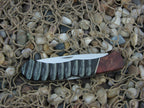 Buck Knives Custom Shop Impala Horn and Burl BuckLock with Stainless steel Model 5321BL B532IBL0