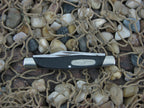 Buck Knives 2008 Black Composite Whittler with Stainless steel Model 309 BU0310BKSSP1B