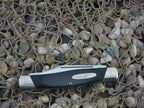 Buck Knives  Black Composite Stockman 307 with Stainless steel Model Wrangler B307