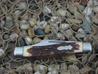 Schrade USA Staglon King Ranch Stockman with Stainless steel Model 885 885UH