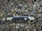 Explorer by Gutmann Stag Stockman with Stainless steel Model Ambassador 30-675