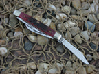 Case Millennium 2000 Red Bone Small Stockman with TruSharp steel 6333 MM078