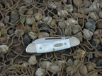 Case Millennium 2000 Genuine Pearl Butterbean with TruSharp steel 82132 MM097