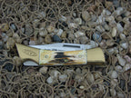 Case Cutlery 1980 Burnt Stag Shark Tooth with TruSharp steel 5197L