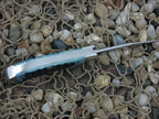 Case Collectors Club 2005 Mediterranean Blue Bone Saddlehorn with TruSharp steel 62110 07506