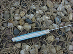 Case Collectors Club 2005 Mediterranean Blue Bone Baby Doc TruSharp 6282 07505