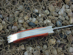 Case Cutlery Brothers Chestnut Bone Sowbelly with TruSharp steel 6539