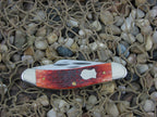 Case Cutlery Brothers Chestnut Bone Sowbelly with TruSharp steel 6539
