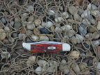 Case Cutlery 2000 Autumn Bone Pocket Hunter with TruSharp steel 62165