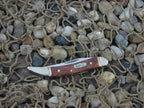 Case Select 2006 Amboyna Burl Tiny Toothpick with TruSharp steel 610096 05410