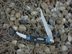 Case Select  Blue Bone Tiny Toothpick with ATS-34 steel 610096