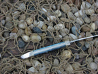 Case Select  Blue Bone Tiny Toothpick with ATS-34 steel 610096
