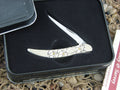 Case Cutlery 2005 White OCC Bone Tiny Toothpick with TruSharp steel 610096 