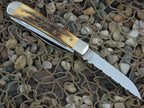 Case Knives 1998 3 Blade Burnt Stag Trapper Scout TruSharp steel 5354 01023