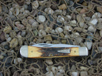 Case Knives 1998 3 Blade Burnt Stag Trapper Scout TruSharp steel 5354 01023