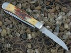 Case Knives 1998 3 Blade Burnt Stag Trapper Scout TruSharp steel 5354 01023 NM