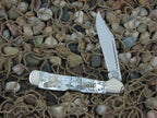 Case Select 1999 Genuine Pearl Mini Copperlock with TruSharp steel 81749L 02409