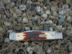 Case Cutlery 1996 Red Stag Cheetah with TruSharp steel 5111.5 Mint Set #246