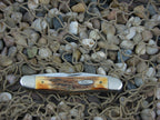 Case Cutlery 2007 Burnt Stag Muskrat with TruSharp steel 08429