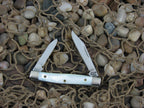 Case Cutlery 1995 Genuine Pearl Pen Knife with TruSharp steel 8233 00830