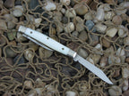 Case Cutlery 1995 Genuine Pearl Pen Knife with TruSharp steel 8233 00830