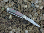 Case Cutlery 2004 Black Pearl Tiny Trapper with TruSharp steel 82154 03785
