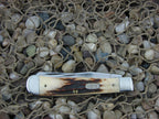 Case Cutlery 1998 Red Stag Trapper with TruSharp steel R5254