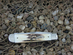 Case Cutlery 2000 Born on 12-31-99 Burnt Stag Trapper TruSharp 5254