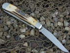Case Cutlery 2000 Burnt Stag Trapper with TruSharp steel 5254