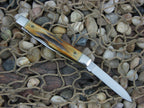 Case Cutlery 1989 Burnt Stag Pen Knife with TruSharp steel 52042