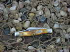 Case Cutlery 1989 Burnt Stag Small Stockman with TruSharp steel 5333