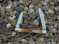 Case Cutlery 1989 Burnt Stag Pen Knife with TruSharp steel 5233 