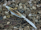 Case Knives 1999 Vintage Stag Small Stockman with TruSharp steel V5327