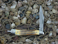 Case Knives 1980 Burnt Stag Peanut with TruSharp steel 5120R 