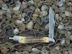 Case Knives 1980 Burnt Stag Peanut with TruSharp steel 5120R 