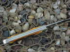 Case Knives 1976 Razor Edge Burnt Stag Jack Knife with TruSharp steel 52087