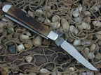 Case XX 1991 Brown Bone Mini Trapper with TruSharp steel 6207