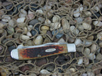 Case XX 1991 Brown Bone Mini Trapper with TruSharp steel 6207