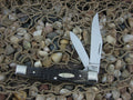 Case XX 1979 Dark Bone Jack with Carbon steel 6292 