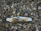 Case XX 1981 Burnt Stag One Blade Copperhead with TruSharp steel 5149