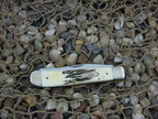 Case XX Cutlery 2002 Bonestag Trapper with TruSharp steel 6.5254 #B