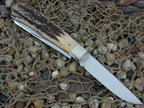 Winchester Knives 1994 Burnt Stag Bullet Trapper with Carbon steel 28103.5