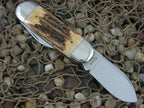 Winchester Knives 1998 Burnt Stag Sunfish Elephant Toe with Carbon steel 250120