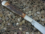 Winchester Knives 1991 Burnt Stag Large Coke Bottle with Carbon steel 1920S