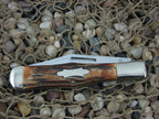 Winchester Knives 1991 Burnt Stag Large Coke Bottle with Carbon steel 1920S