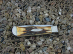 Case Bradford Classic 1992 Burnt Stag Bullet Trapper with Carbon steel 5223
